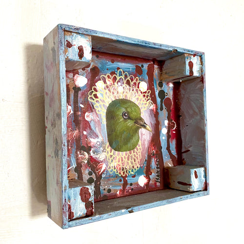 Dove. WallBox