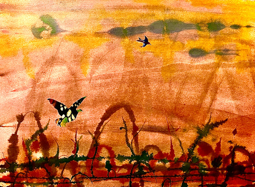 Birds